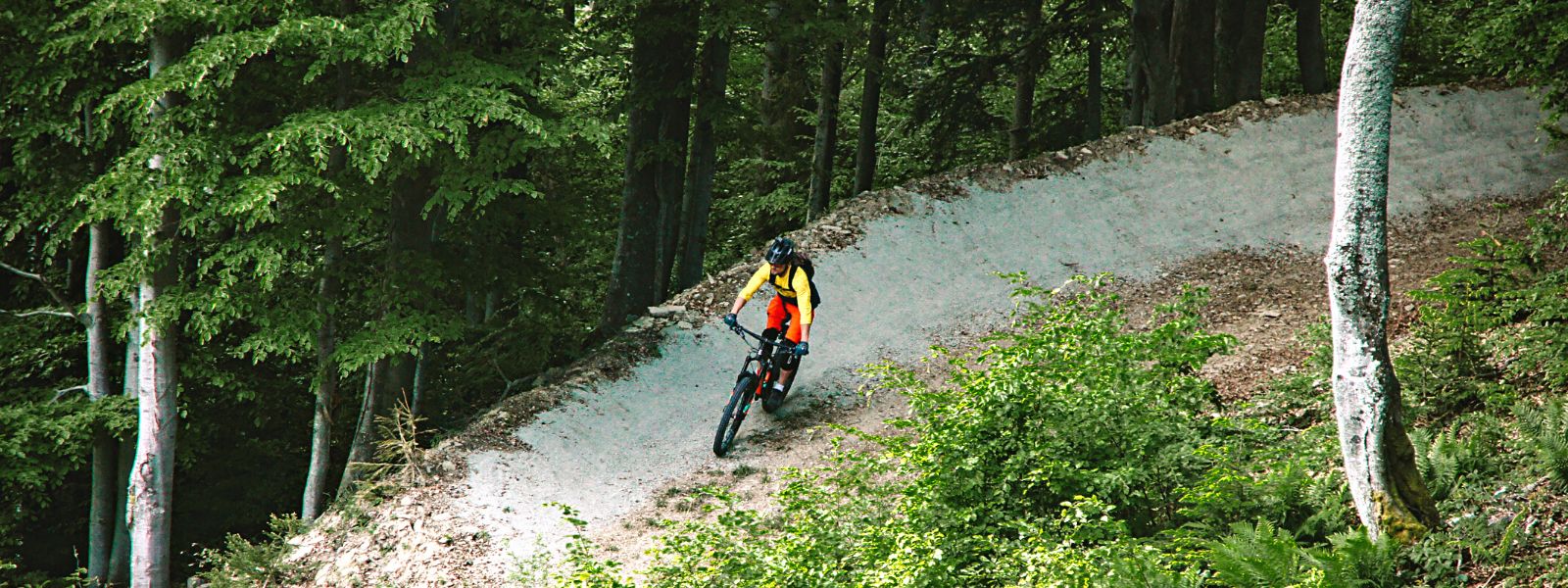Park Rowerowy
