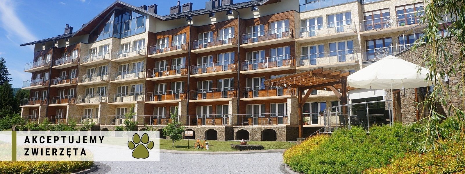 Zwierzęta w hotelu – udane wakacje z psem i kotem.