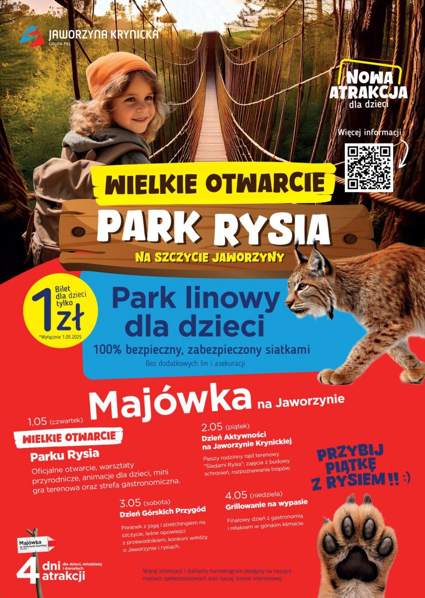 NOWOŚĆ! KRAINA RYSIA – park linowy na szczycie Jaworzyny Krynickiej