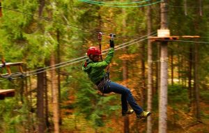 Krynicki Park Linowy - Hotel Activa***