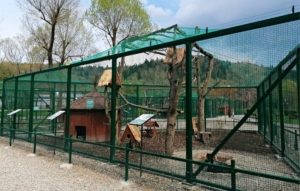 Muszyńskie mini zoo