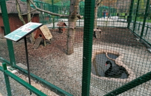 Muszyńskie mini zoo