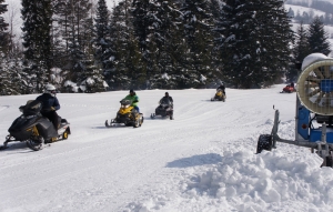 TRIKKE SKKI ARENA SŁOTWINY