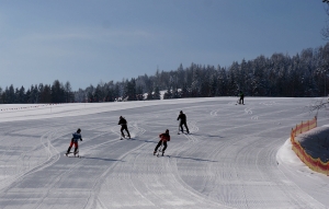 TRIKKE SKKI ARENA SŁOTWINY