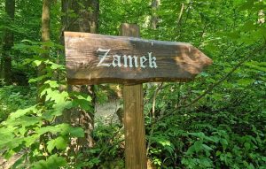 Zamek w Muszynie