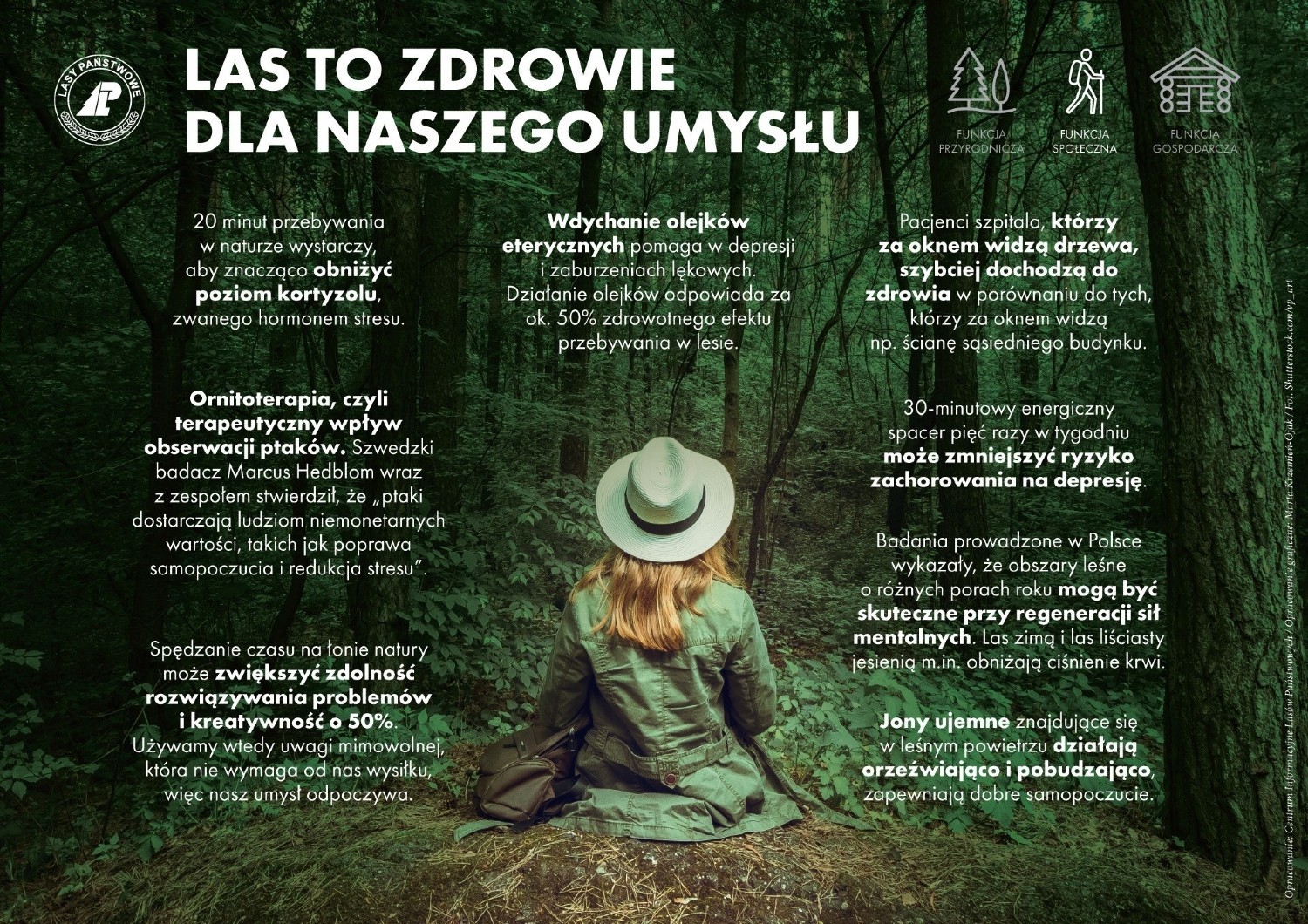 DZIEŃ ZIEMI – Las to zdrowie